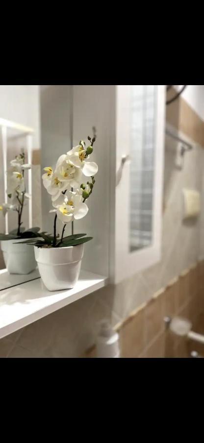 Cusumano House Apartment Трапето Екстериор снимка